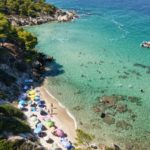 people on beach during daytime