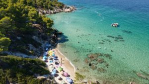 people on beach during daytime